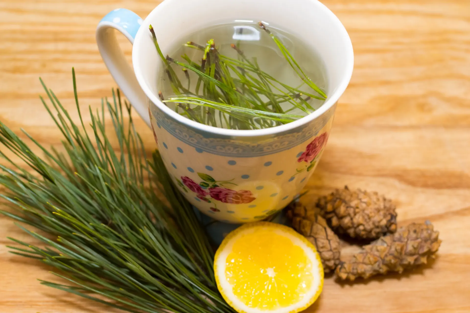 close-up of pine needle tea in a cup on a wood background with pine needles, pine cones and a lemon wedge