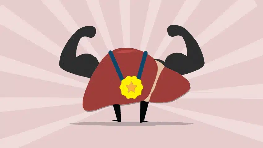 cartoon concept of a liver with biceps